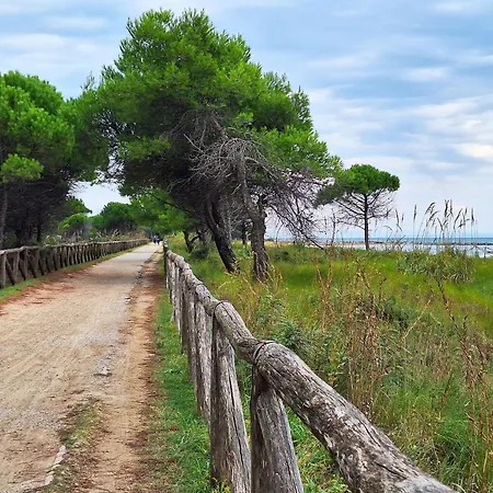 Newly Renovated Modern Two Bibione